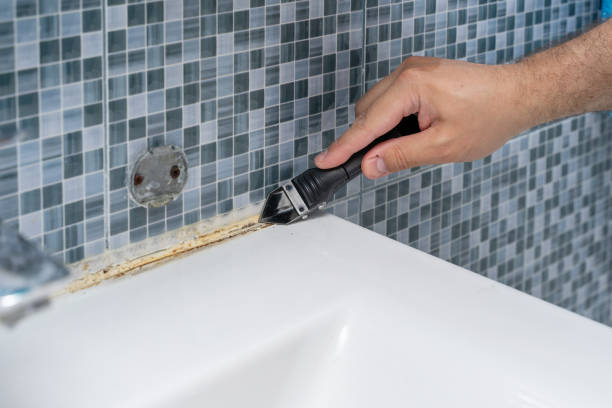 Best Residential Mold Remediation in Sterling, VA