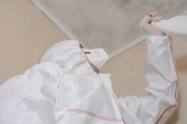 Best Industrial Mold Remediation in Sterling, VA